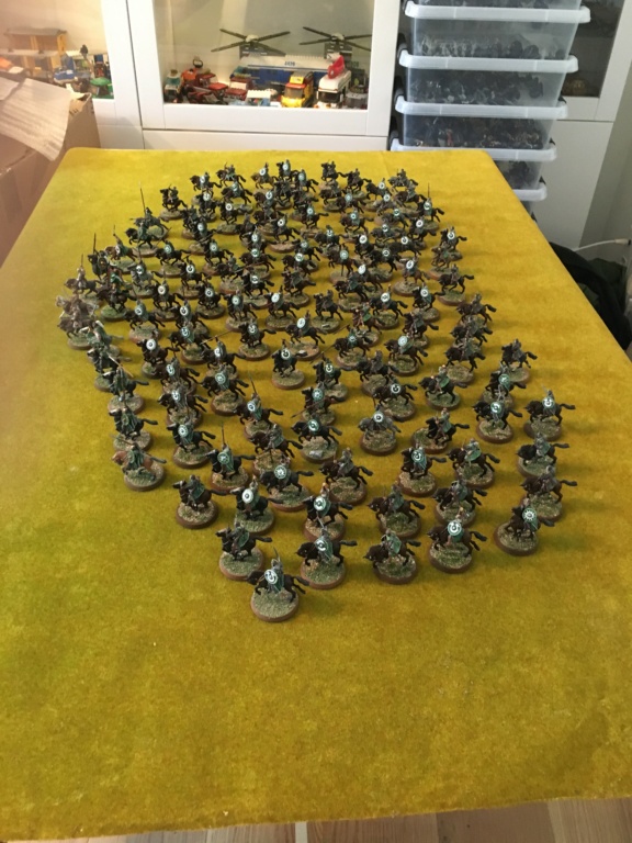 L'armée du Rohan Img_0816