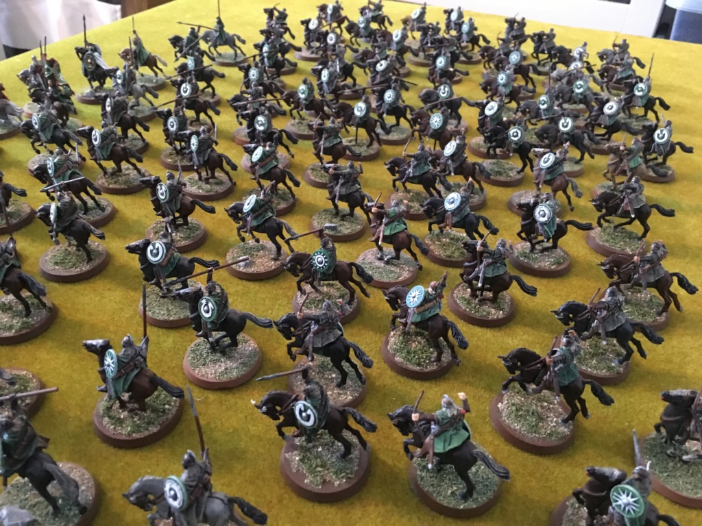 L'armée du Rohan Img_0818