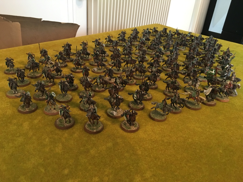 L'armée du Rohan Img_0820