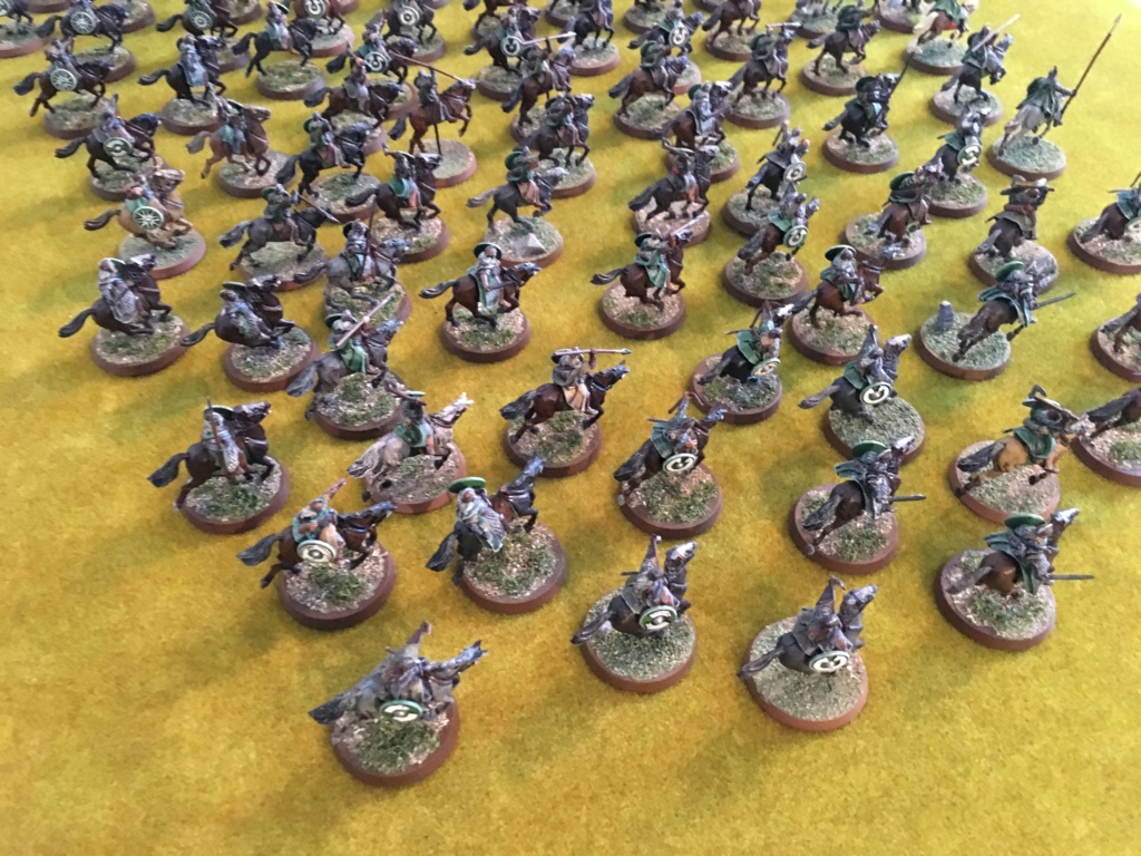 L'armée du Rohan Img_0821