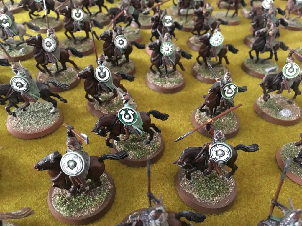 L'armée du Rohan Img_0822