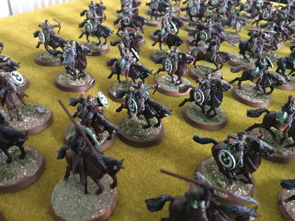 L'armée du Rohan Img_0828