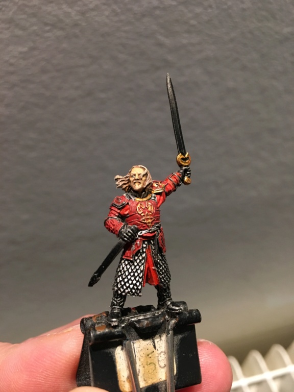 L'armée du Rohan Img_0830