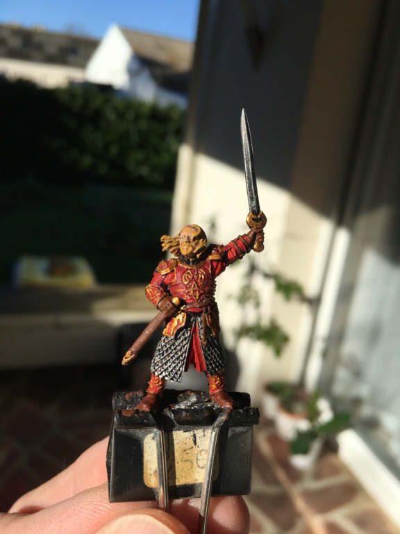 L'armée du Rohan Img_0910