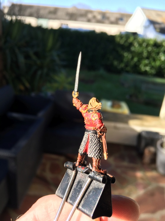 L'armée du Rohan Img_0911