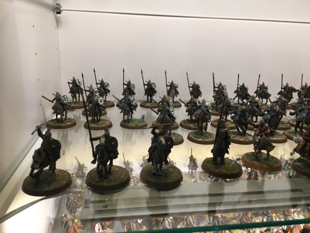 L'armée du Rohan Img_1410