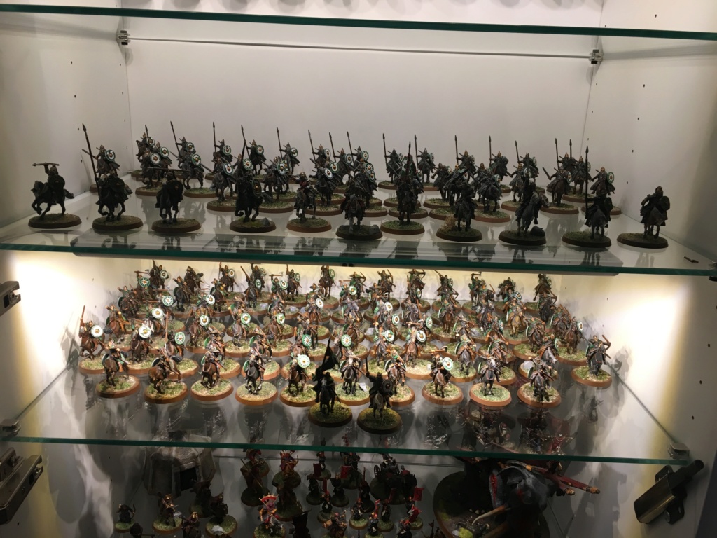 L'armée du Rohan Img_1412