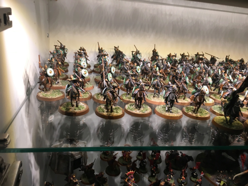 L'armée du Rohan Img_1413