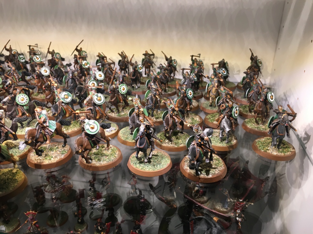 L'armée du Rohan Img_1414