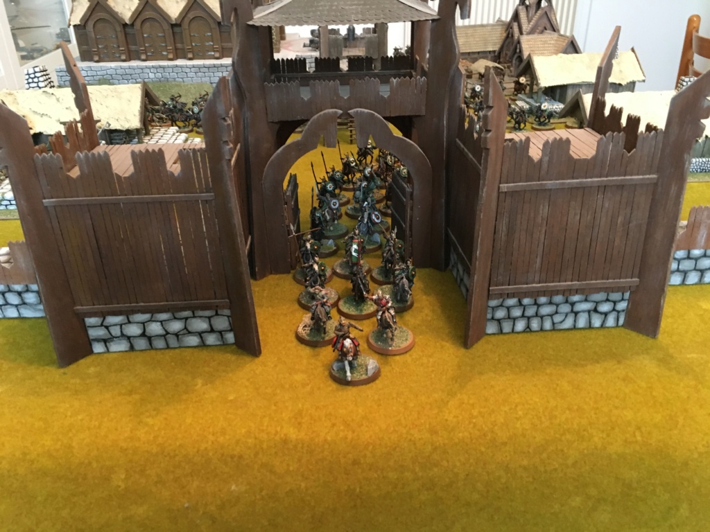 L'armée du Rohan Img_2810