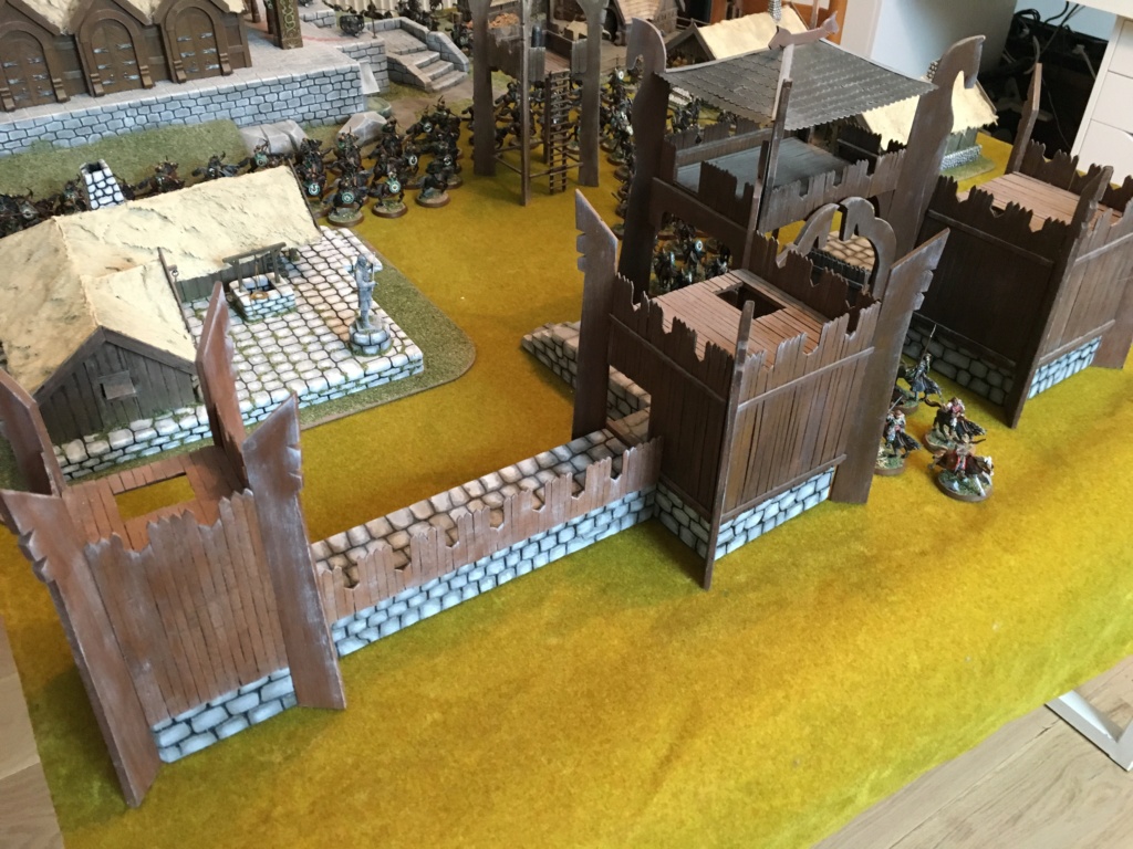 L'armée du Rohan Img_2811