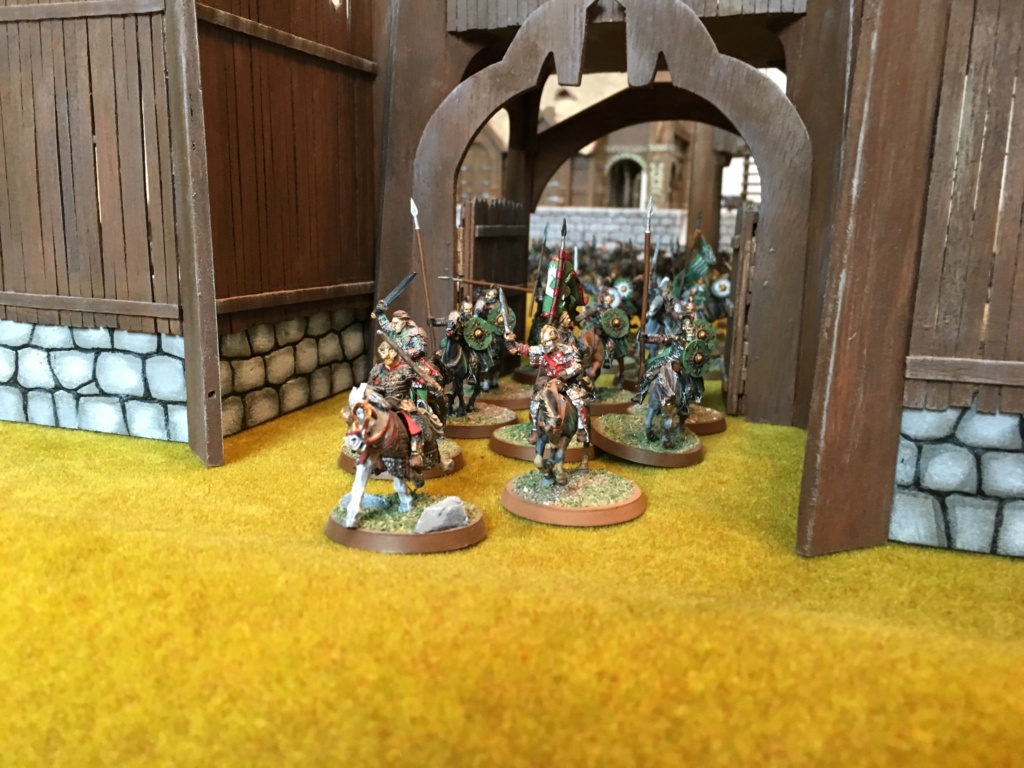 L'armée du Rohan Img_2816