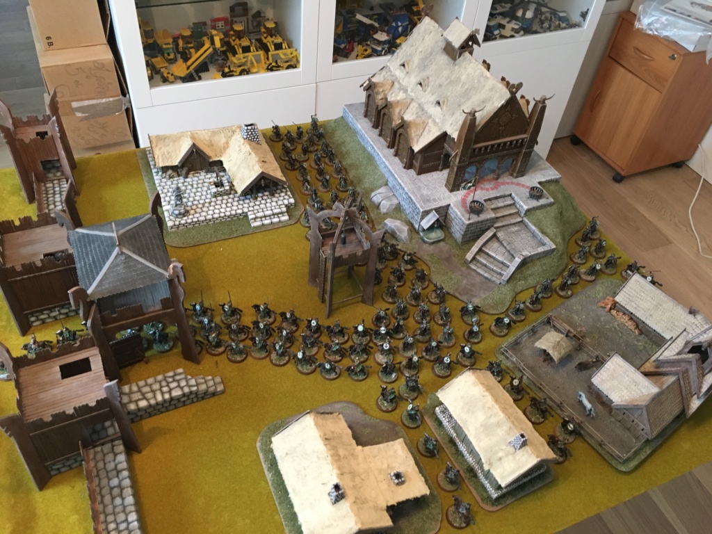 L'armée du Rohan Img_2818