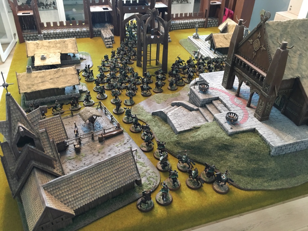 L'armée du Rohan Img_2819